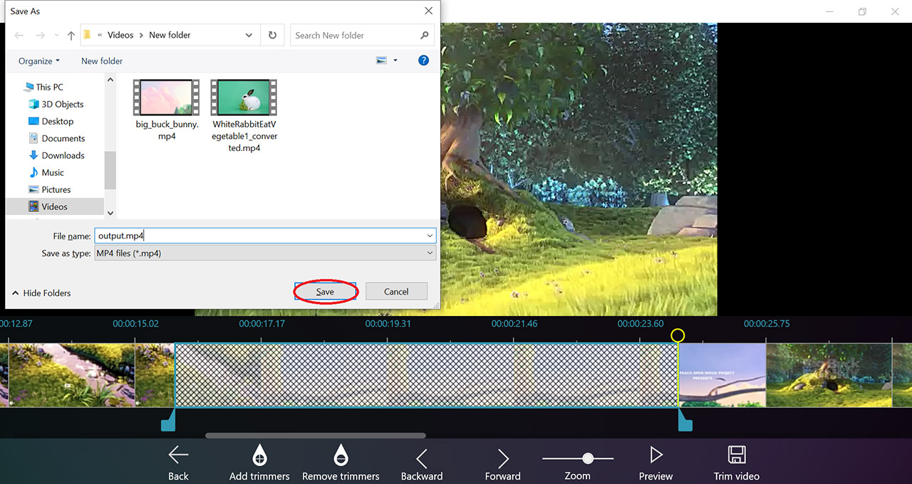 Movie Maker for Windows 10